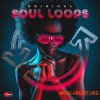 2Deep Original Soul Loops (WAV) - сэмплы Soul