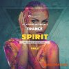 Nano Musik Loops Trance Spirit Vol 2 (MULTiFORMAT) - сэмплы Trance Nano Musik Loops Trance Spirit Vol 2 (MULTiFORMAT) - сэмплы Trance