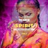Nano Musik Loops Trance Spirit Vol 1 (MULTiFORMAT) - сэмплы Trance