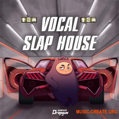 Dropgun Samples Vocal Slap House (WAV) - сэмплы вокала Slap House