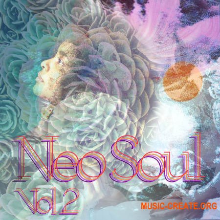 Drumdrops Neo Soul Vol. 2 WAV