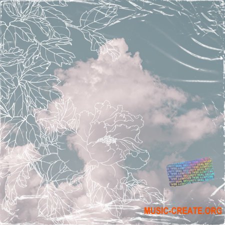Lil Ness Soundkit Phase 1 (WAV, FL STUDiO) - сэмплы Trap
