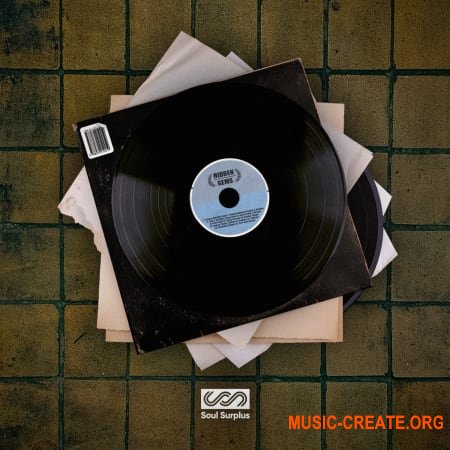 Soul Surplus Hidden Gems WAV