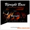 Muze Upright Bass (KONTAKT) - библиотека звуков контрабаса Muze Upright Bass (KONTAKT) - библиотека звуков контрабаса