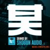 EST Studios Sounds Of Shogun Audio (MULTiFORMAT) - сэмплы Drum & Bass EST Studios Sounds Of Shogun Audio (MULTiFORMAT) - сэмплы Drum & Bass