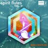 RARE Percussion Spirit Flutes Vol. 2 (WAV) - сэмплы звуков флейты RARE Percussion Spirit Flutes Vol. 2 (WAV) - сэмплы звуков флейты