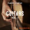 Gio Israel Flamenco Essentials Guitars Vol. 1 (WAV) - гитарные сэмплы фламенко Gio Israel Flamenco Essentials Guitars Vol. 1 (WAV) - гитарные сэмплы фламенко