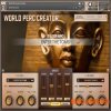 In Session Audio World Percussion Creator (KONTAKT) - библиотека этнической перкуссии In Session Audio World Percussion Creator (KONTAKT) - библиотека этнической перкуссии
