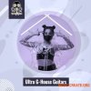 Vandalism Ultra G-House Guitars (WAV) - сэмплы гитары