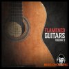 Vanilla Groove Studios - Flamenco Guitars Vol.2 (WAV) - гитарные сэмплы фламенко Vanilla Groove Studios - Flamenco Guitars Vol.2 (WAV) - гитарные сэмплы фламенко