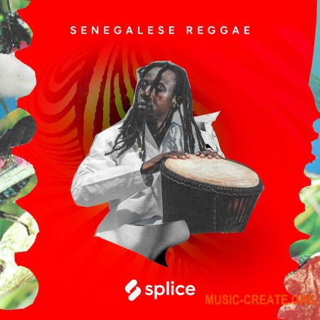 Splice Sessions Senegalese Reggae (WAV) - сэмплы Reggae