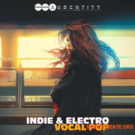 Audentity Records Indie Electro and Vocal Pop WAV