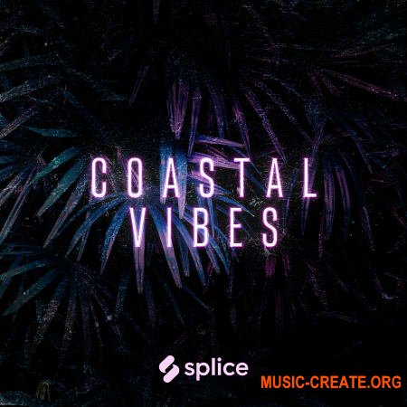 Splice Originals Coastal Vibes Reggaeton (WAV) - сэмплы Reggaeton, Nu Cumbia
