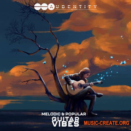 е Audentity Records Melodic and Popular Guitar Vibes WAV