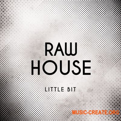 Little Bit Raw House WAV