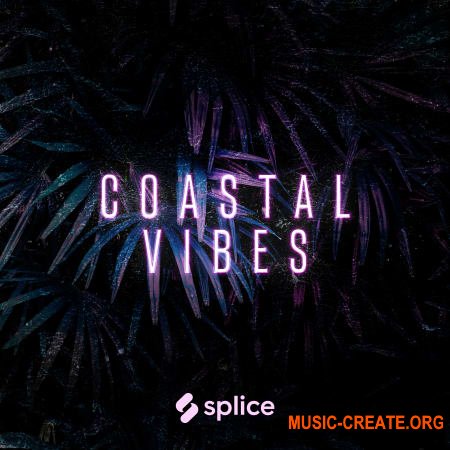 Splice Originals Coastal Vibes Reggaeton