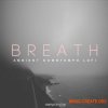 Samplestar Breath (WAV MiDi) - сэмплы Ambient