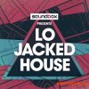 Soundbox Lo Jacked House (WAV REX) - сэмплы Jacked House