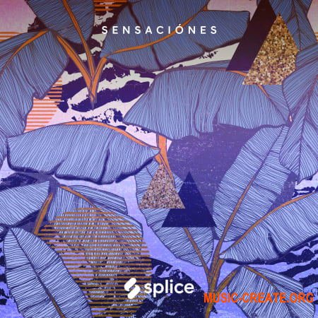 Splice Originals Sensaciones Latin RnB (WAV) - сэмплы RnB