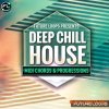 Future Loops Deep and Chill House (WAV MIDI) - сэмплы Deep, Chill House Future Loops Deep and Chill House (WAV MIDI) - сэмплы Deep, Chill House