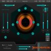 NUGEN Audio Paragon v1.4.0.6 (Team R2R)