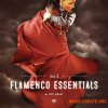 Gio Israel Flamenco Essentials Guitars Vol. 2 (WAV) - сэмплы гитары Gio Israel Flamenco Essentials Guitars Vol. 2 (WAV) - сэмплы гитары
