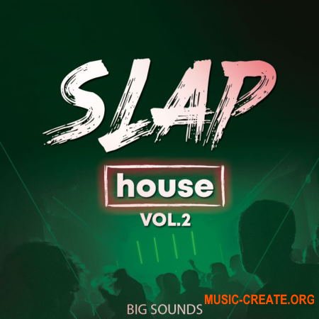 Big Sounds Slap House Volume 2 (MULTi-FORMAT) - сэмплы Slap House, Future House