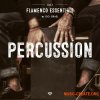 Gio Israel Flamenco Essentials Percussion Vol. 1 (WAV) - сэмплы перкуссии