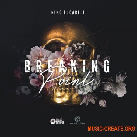 Black Octopus Sound VocalKitchen - Nino Lucarelli - Breaking Point (WAV) - вокальные сэмплы