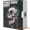Hy2rogen Power House Drops (WAV MIDI Serum Sylenth) - сэмплы House Hy2rogen Power House Drops (WAV MIDI Serum Sylenth) - сэмплы House