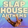 Mainroom Warehouse Slap House Anthems (WAV MiDi Serum) - сэмплы Slap House Mainroom Warehouse Slap House Anthems (WAV MiDi Serum) - сэмплы Slap House