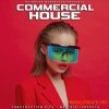Mainroom Warehouse Commercial House (WAV MiDi Serum) - сэмплы House