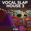 Dropgun Samples Vocal Slap House 3 (WAV) - вокальные сэмплы, Slap House Dropgun Samples Vocal Slap House 3 (WAV) - вокальные сэмплы, Slap House