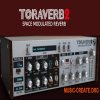 D16 Group Toraverb 2 v2.1.1 (Team R2R) - плагин ревербератор D16 Group Toraverb 2 v2.1.1 (Team R2R) - плагин ревербератор