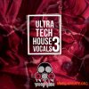 Vandalism Ultra Tech House Vocals 3 (WAV) - вокальные сэмплы Vandalism Ultra Tech House Vocals 3 (WAV) - вокальные сэмплы