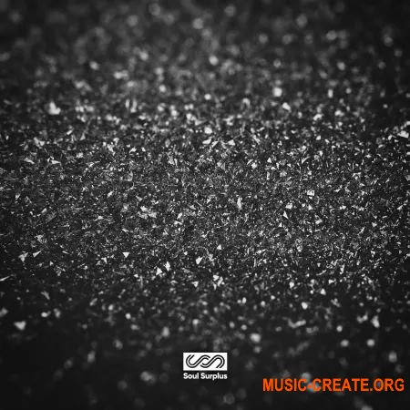 Soul Surplus Jet Black Neo Soul (WAV) - сэмплы Neo Soul