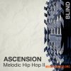 Blind Audio Ascension Melodic Hip Hop 2 (WAV) - сэмплы Hip Hop Blind Audio Ascension Melodic Hip Hop 2 (WAV) - сэмплы Hip Hop