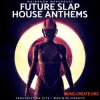Mainroom Warehouse Future Slap House Anthems (WAV MIDI Spire) - сэмплы Slap House, EDM Mainroom Warehouse Future Slap House Anthems (WAV MIDI Spire) - сэмплы Slap House, EDM