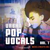 Image Sounds Urban Pop Vocals 1 (WAV) - вокальные сэмплы Image Sounds Urban Pop Vocals 1 (WAV) - вокальные сэмплы