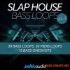 Baltic Audio Slap House Bass Loops Vol.2 (WAV) - сэмплы Slap House Baltic Audio Slap House Bass Loops Vol.2 (WAV) - сэмплы Slap House
