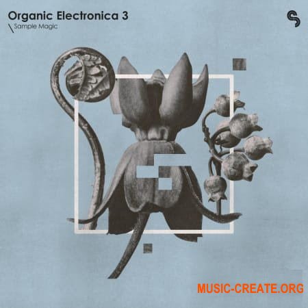 Sample Magic Organic Electronica 3 (MULTiFORMAT) - сэмплы Electronica