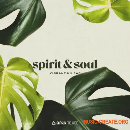 Capsun ProAudio Spirit and Soul Vibrant UK Hip Hop (WAV) - сэмплы UK Hip Hop