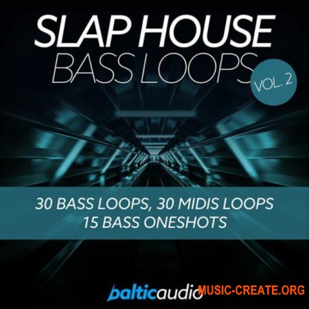 Baltic Audio Slap House Bass Loops Vol.2 (WAV) - сэмплы Slap House