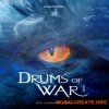 Cinesamples Drums Of War 1 (KONTAKT) - библиотека кинематографических перкуссий Cinesamples Drums Of War 1 (KONTAKT) - библиотека кинематографических перкуссий