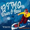 Singomakers Atmo Drum and Bass (WAV REX) - сэмплы Drum and Bass