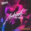 91Vocals Ambient Trap Vocals (WAV) - вокальные сэмплы 91Vocals Ambient Trap Vocals (WAV) - вокальные сэмплы