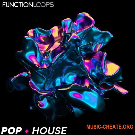 Function Loops Pop + House (WAV) - сэмплы Pop, House