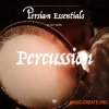 Gio Israel Persian Essentials Percussion (WAV Beatmaker Presets) - сэмплы перкуссии Gio Israel Persian Essentials Percussion (WAV Beatmaker Presets) - сэмплы перкуссии