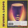 Cartel Loops Wunna Loops (WAV) - сэмплы фортепиано, гитар Cartel Loops Wunna Loops (WAV) - сэмплы фортепиано, гитар