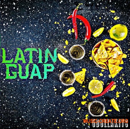 5DOLLAKITS Latin Guap (WAV) - сэмплы Reggaeton, Moombah